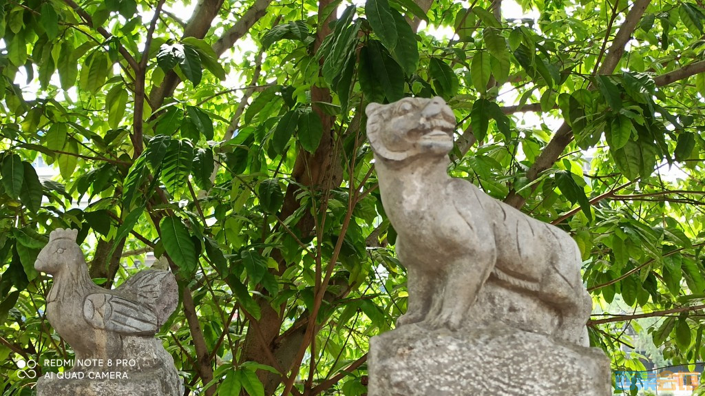 conew_1682568578687.jpg