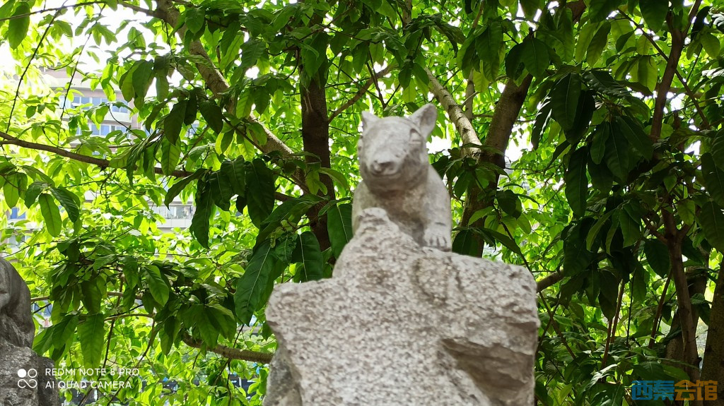 conew_1682568578661.jpg