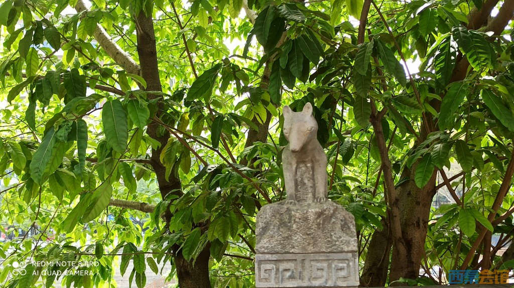 conew_1682568578674.jpg