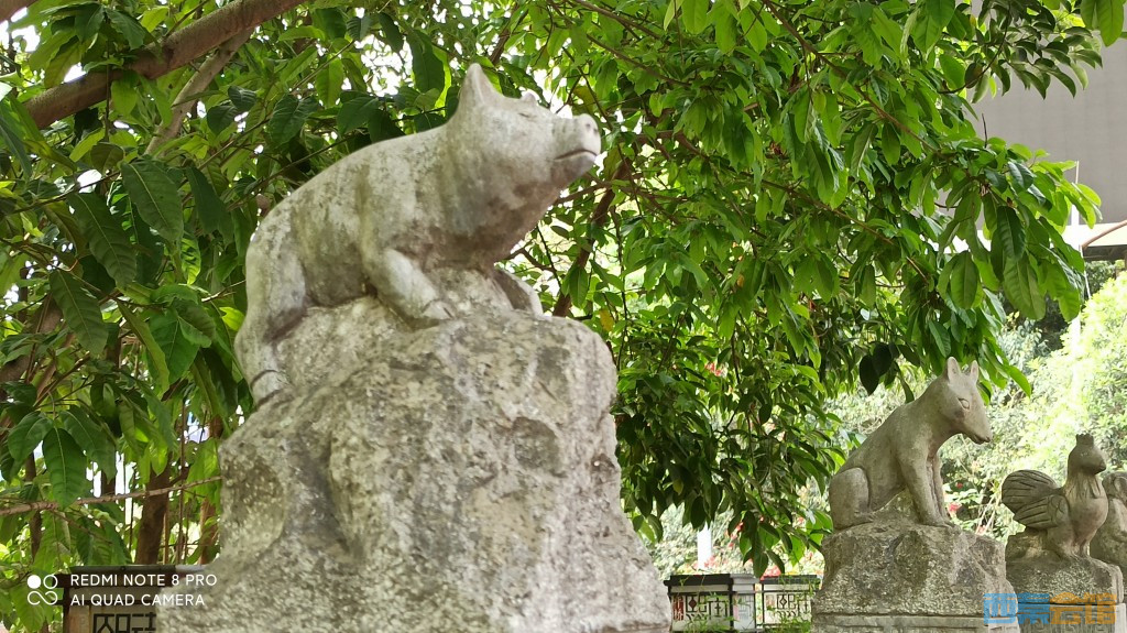 conew_1682568578647.jpg