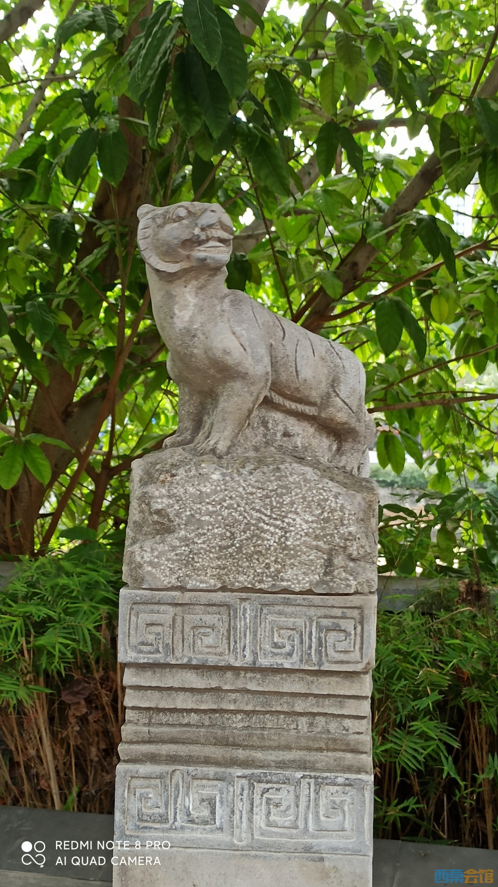 conew_1682568578493.jpg