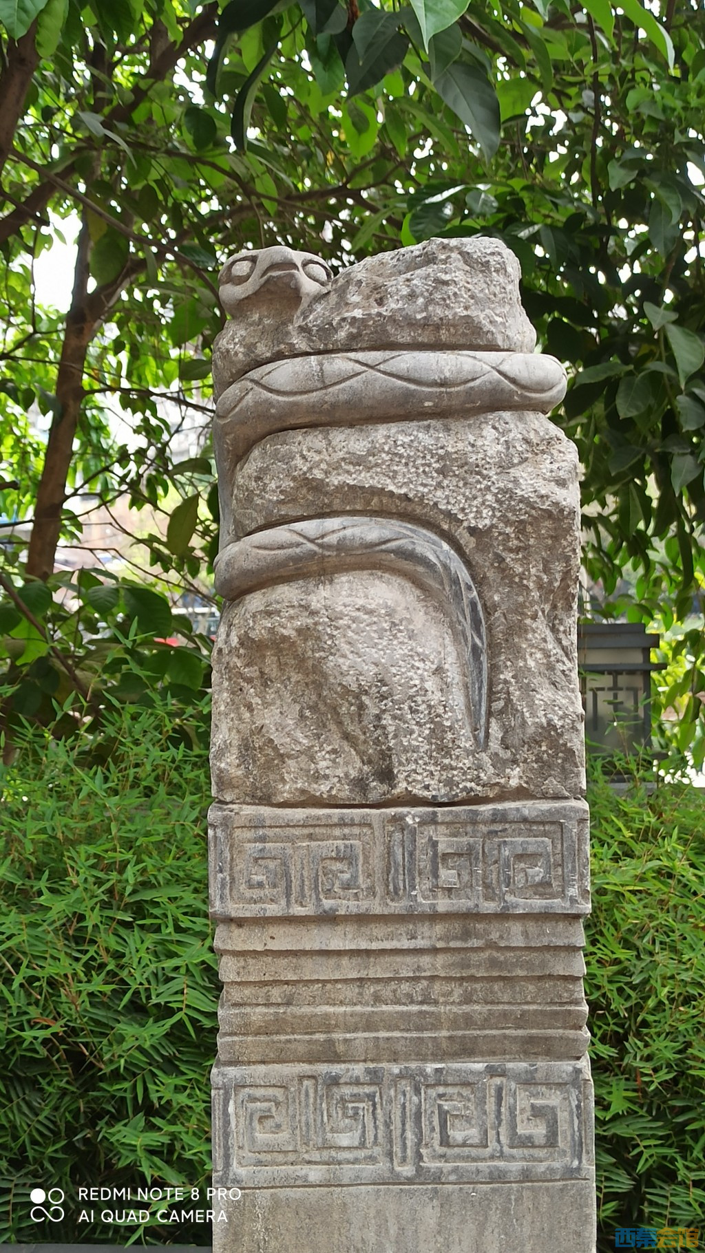 conew_1682568578521.jpg