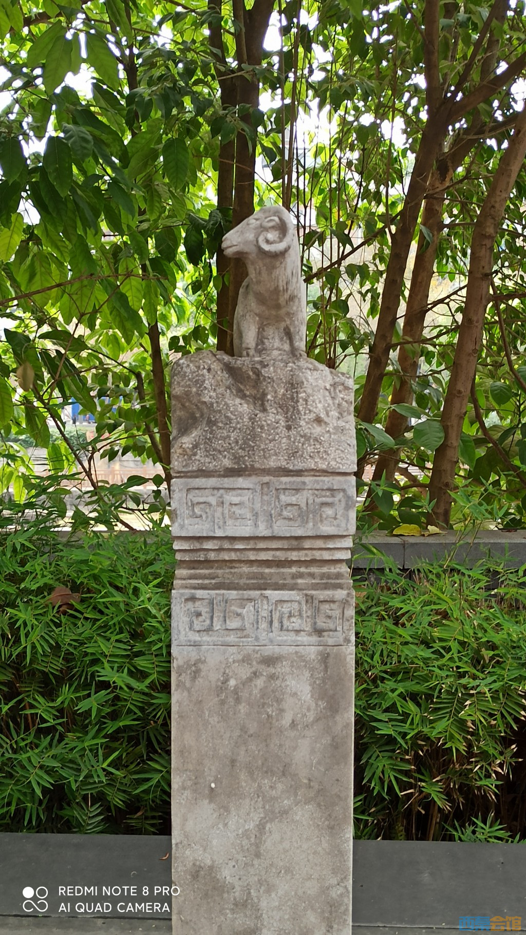 conew_1682568578562.jpg