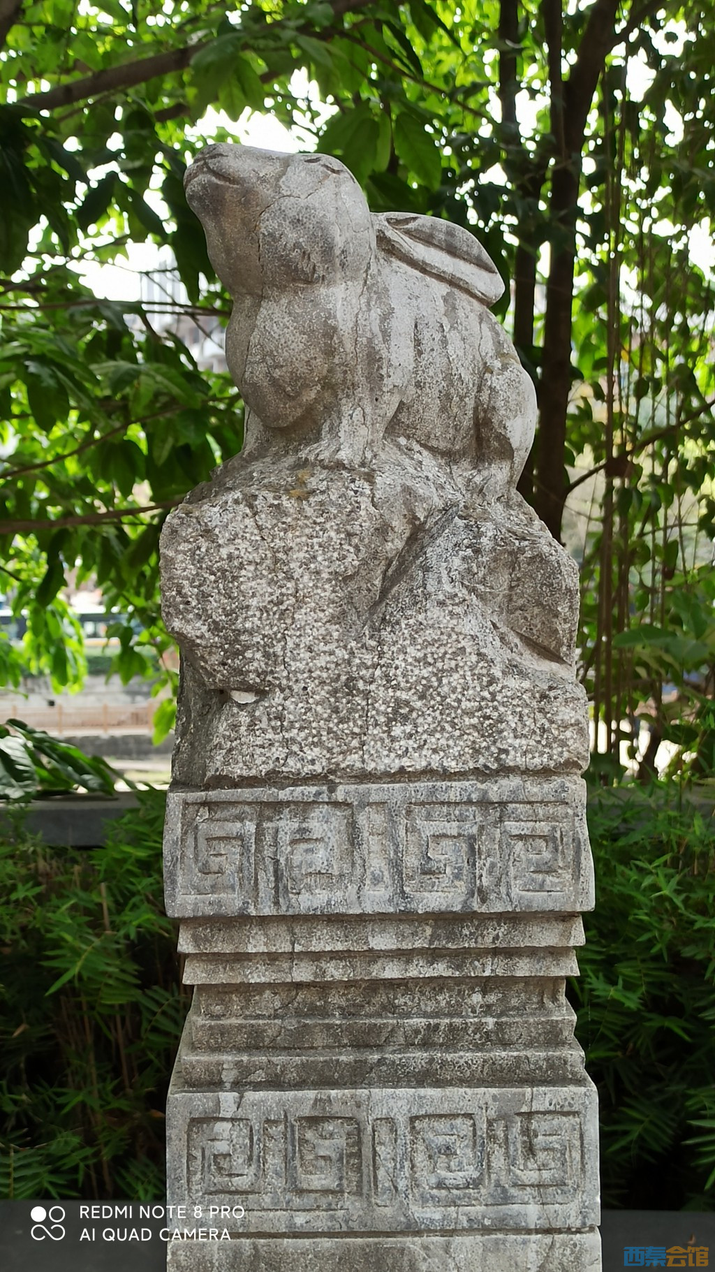 conew_1682568578574.jpg