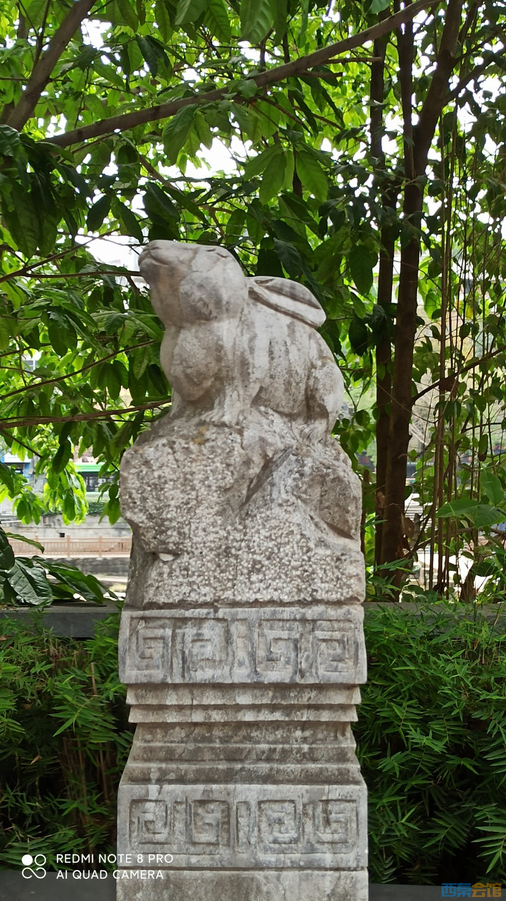 conew_1682568578506.jpg