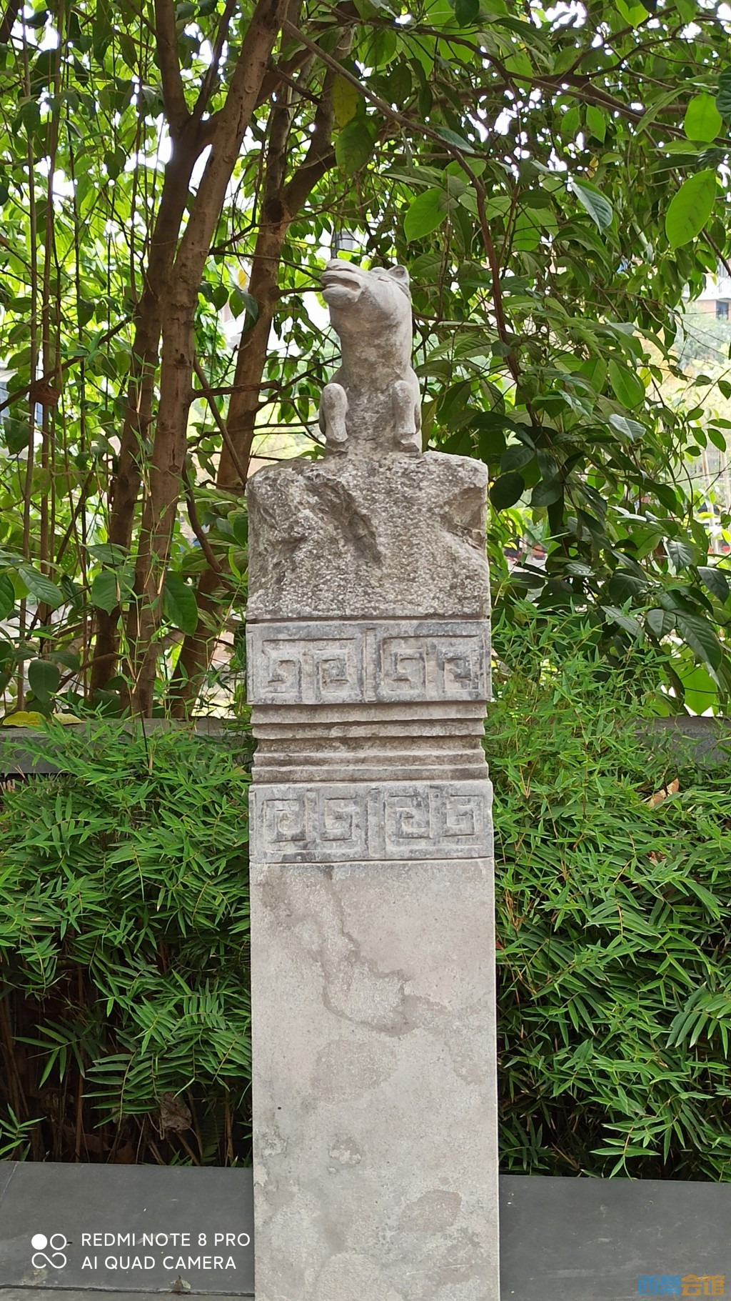 conew_1682568578534.jpg