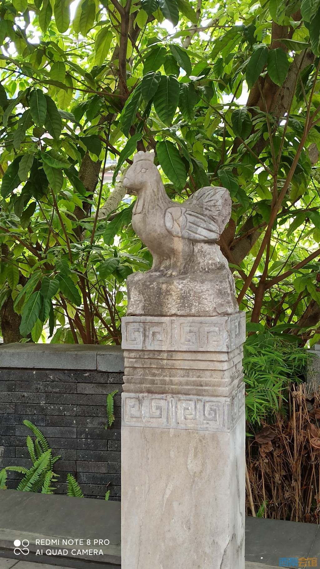conew_1682568578477.jpg