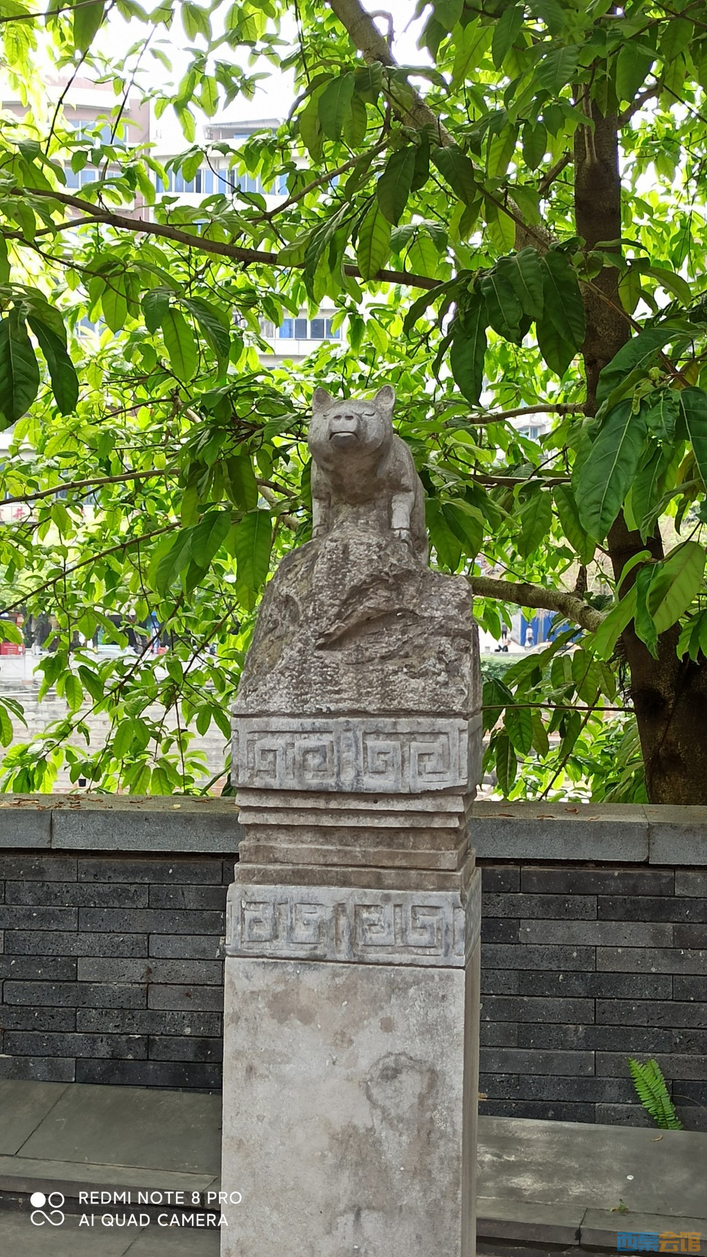 conew_1682568578423.jpg