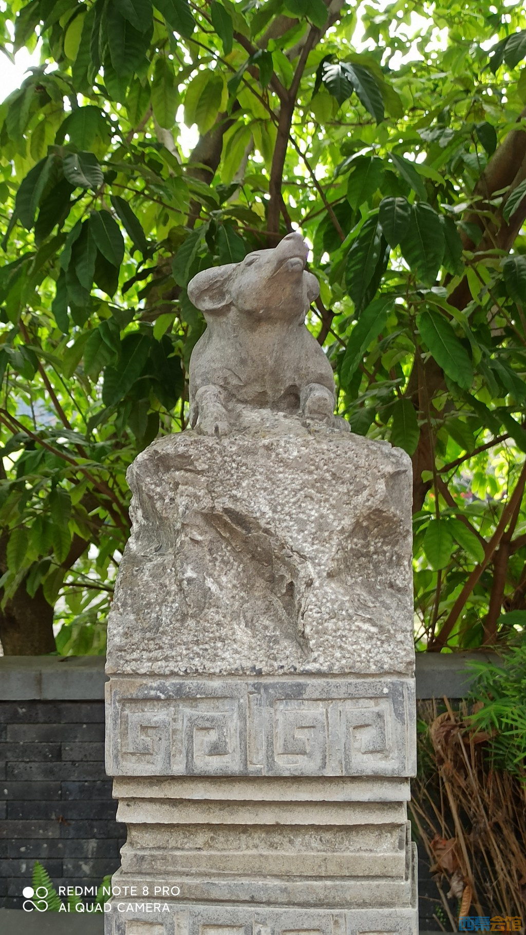 conew_1682568578464.jpg