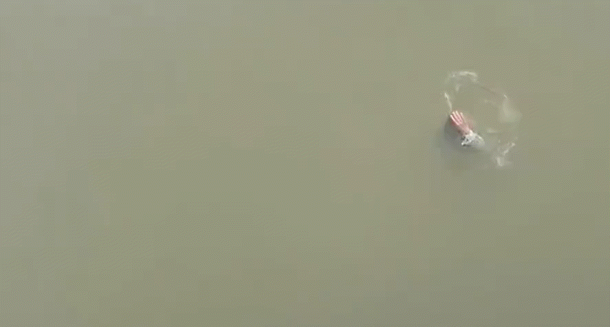 3.gif