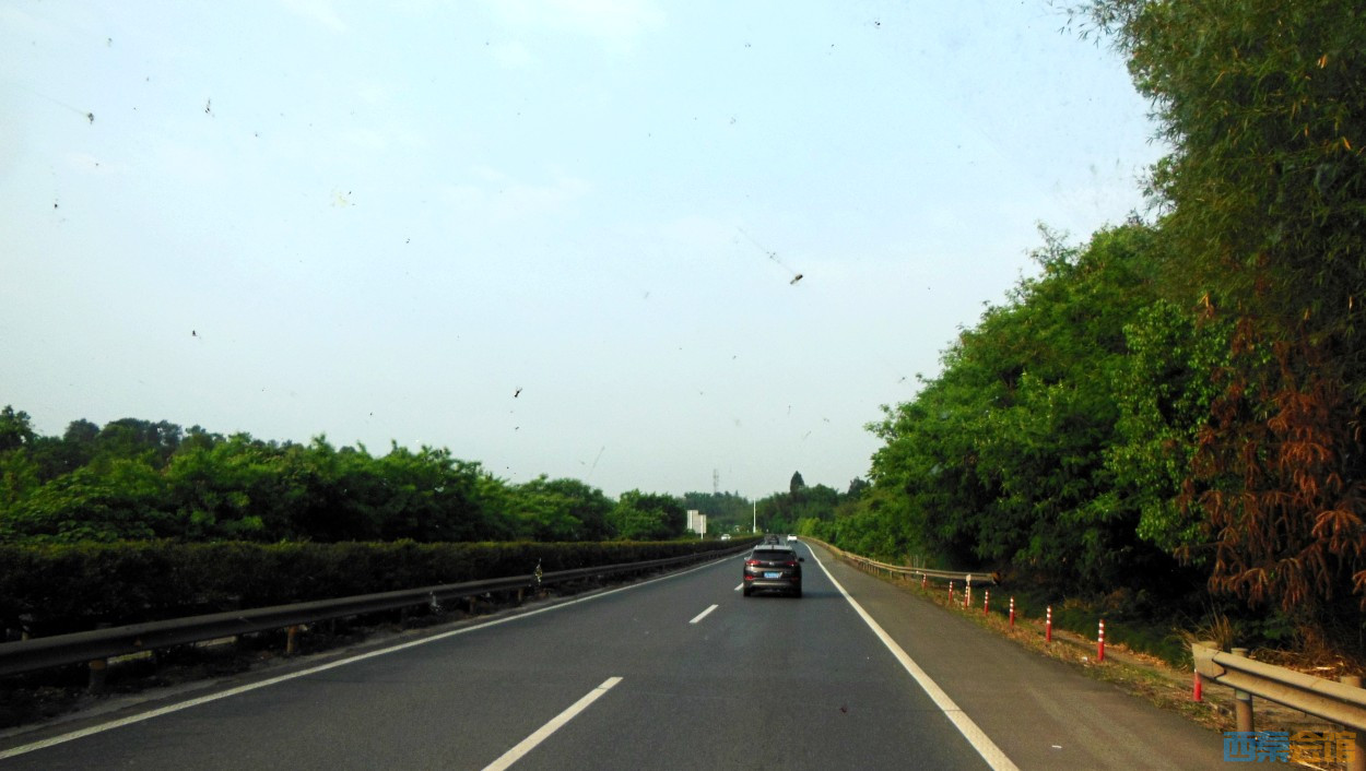conew_dscn9834.jpg