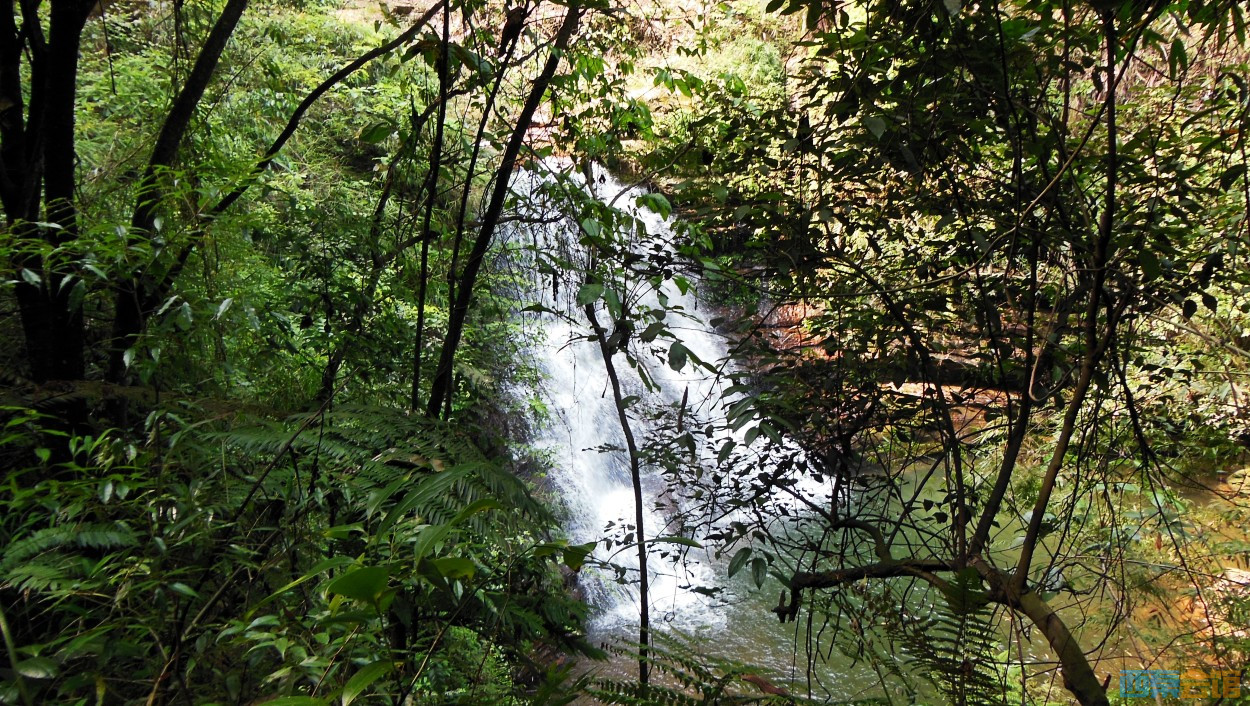 conew_dscn9854.jpg