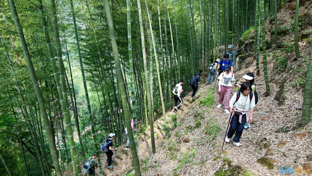 conew_dscn9863.jpg