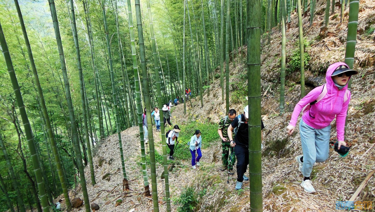 conew_dscn9867.jpg