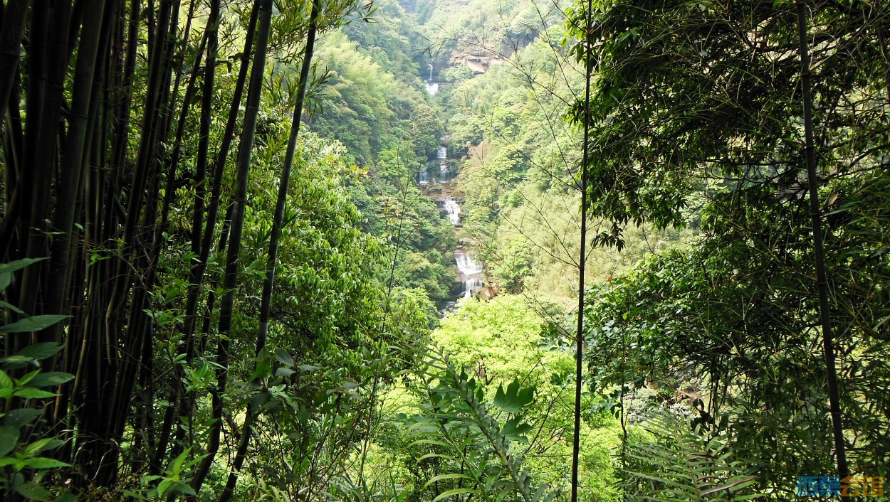 conew_dscn9871.jpg