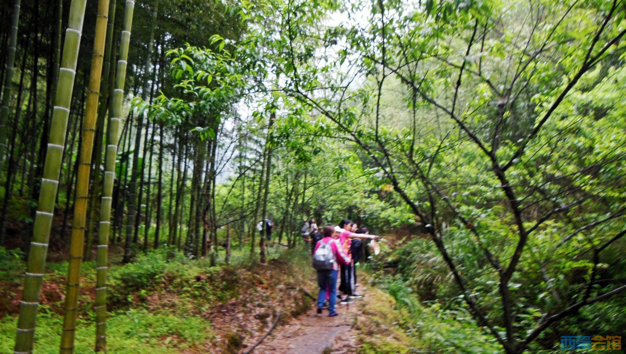 conew_dscn0191.jpg