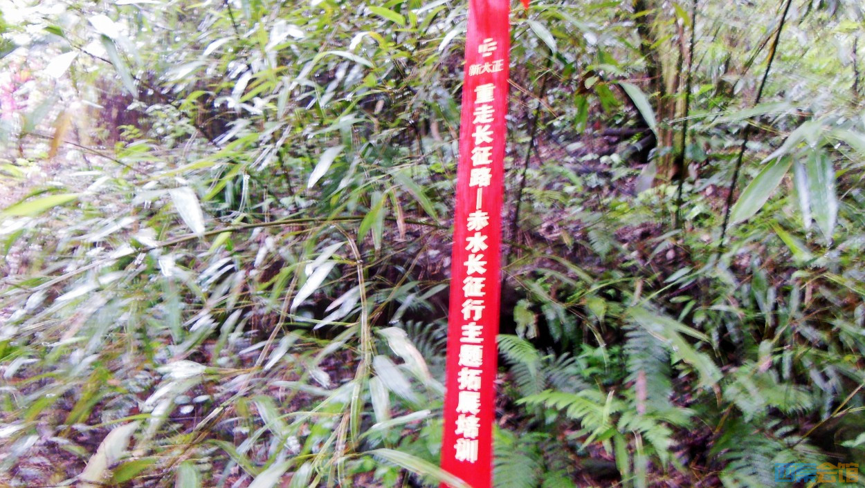 conew_dscn0213.jpg