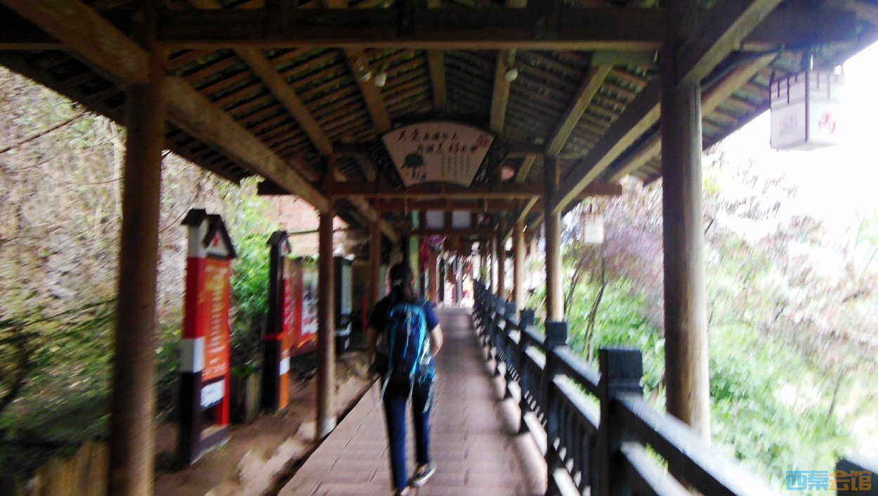 conew_dscn0424.jpg