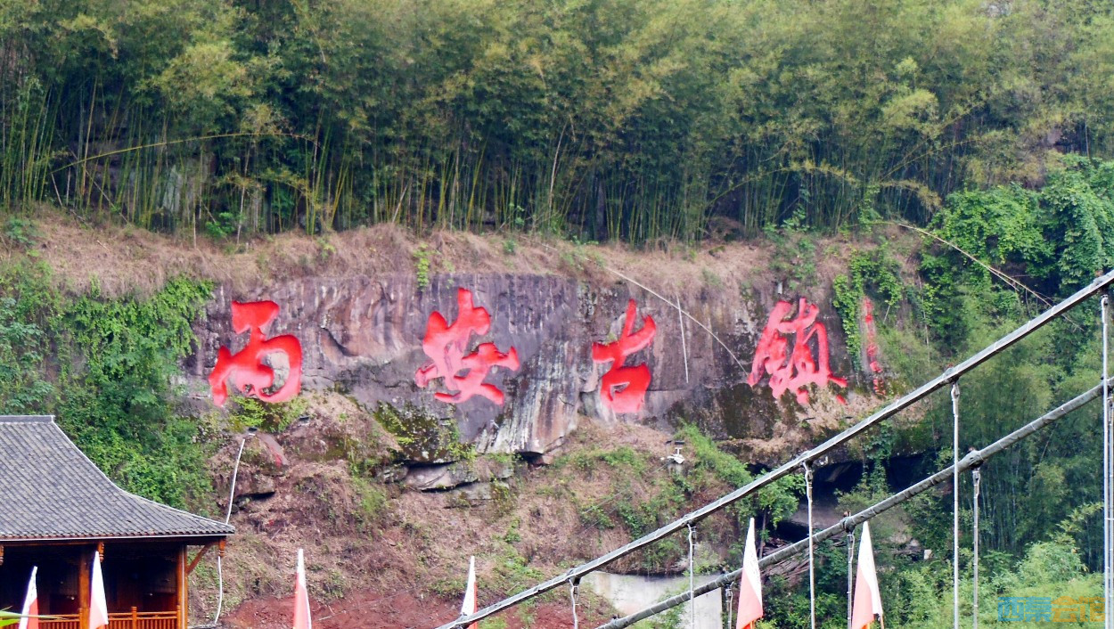 conew_dscn0457.jpg