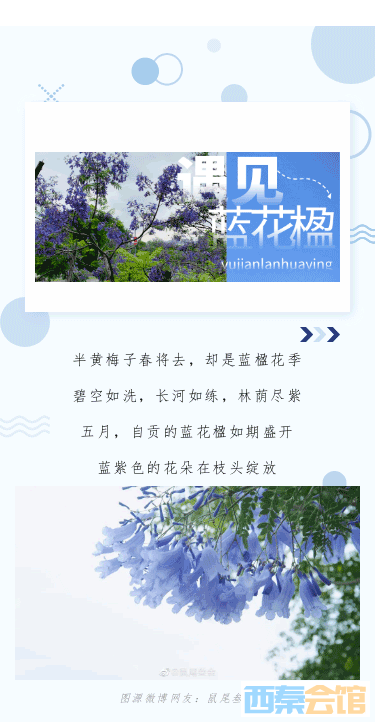 200707451_1683711342_01.png