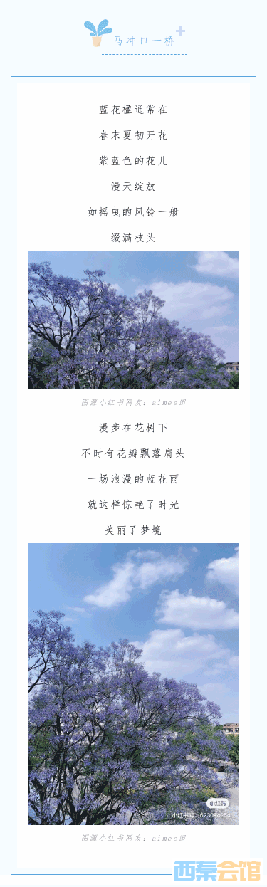 200707451_1683711342_04.png