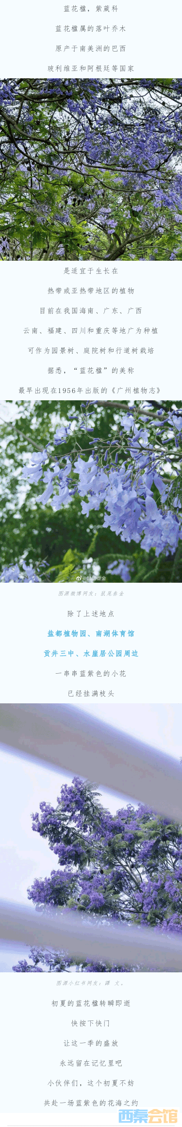 200707451_1683711342_05.png