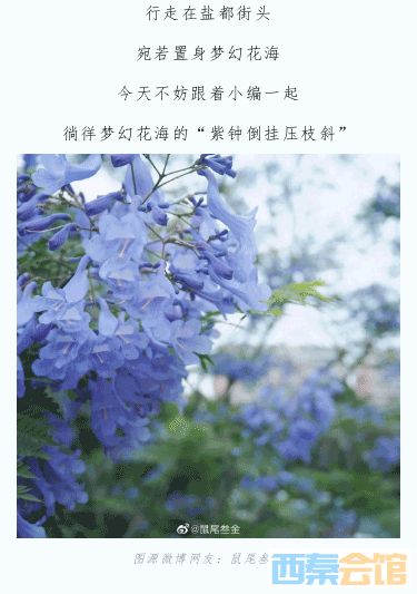 200707451_1683711342_02.png