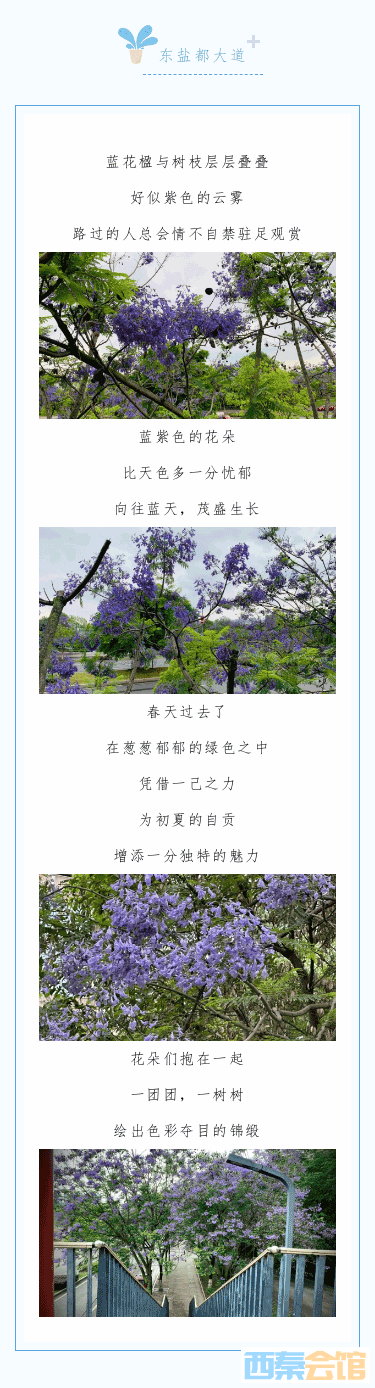 200707451_1683711342_03.png