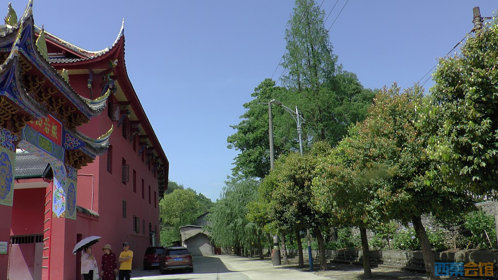 conew_s1590005.jpg
