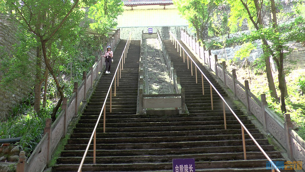 conew_s1590008.jpg