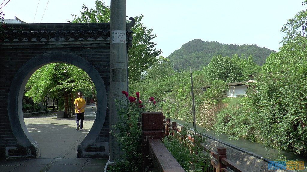 conew_s1590022.jpg