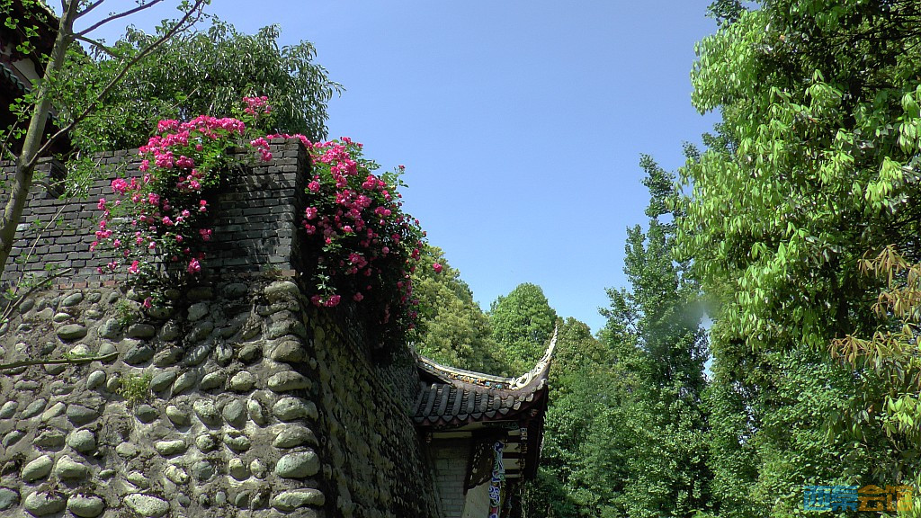 conew_s1590016.jpg