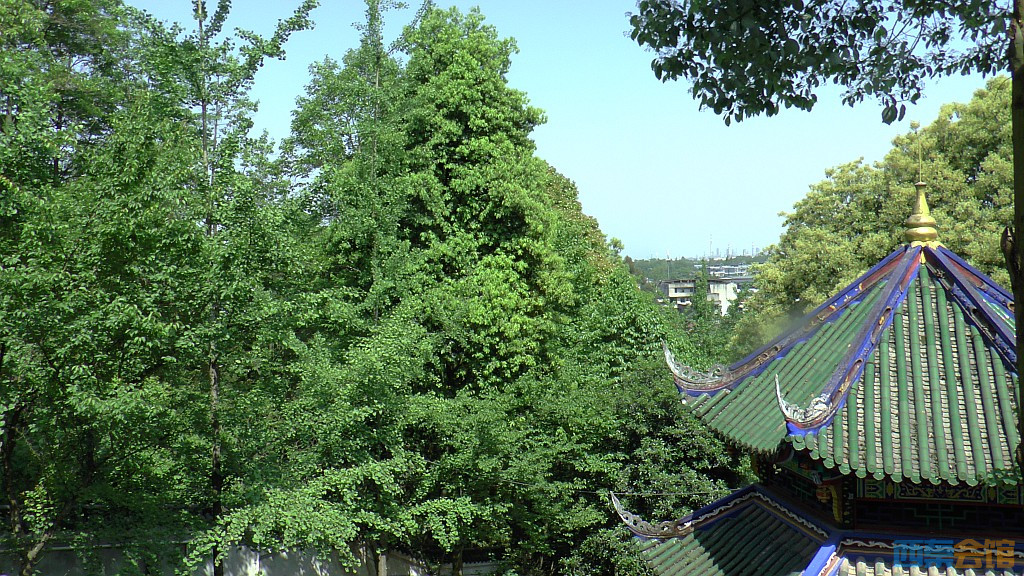 conew_s1590012.jpg