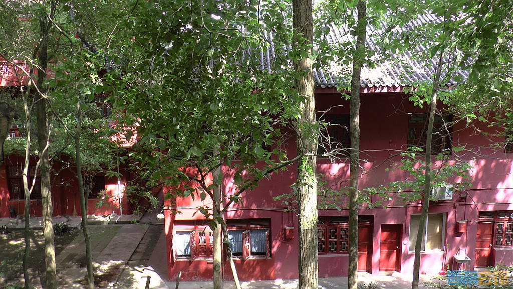 conew_s1590017.jpg