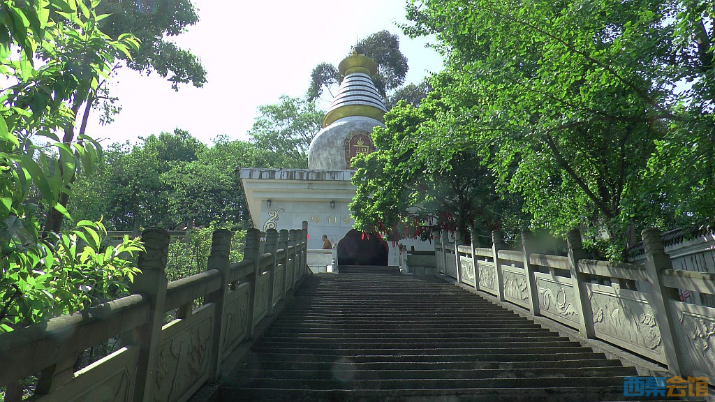 conew_s1590011.jpg