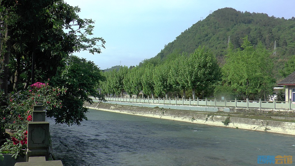 conew_s1590029.jpg