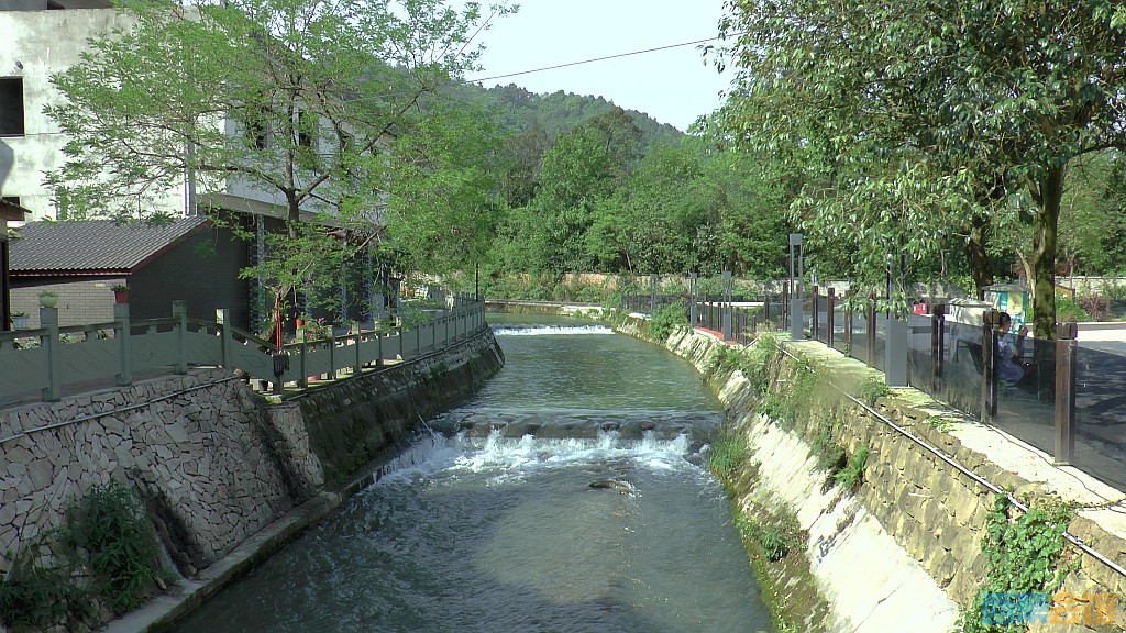 conew_s1590026.jpg