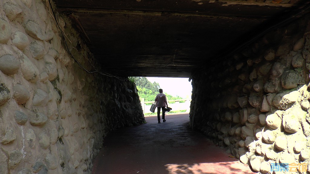 conew_s1590031.jpg