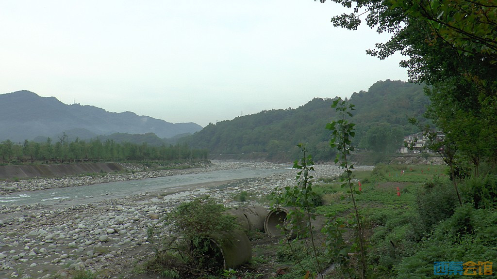 conew_s1610005.jpg