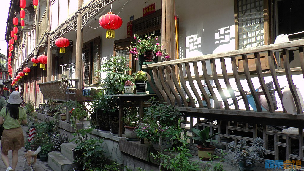 conew_s1610024.jpg