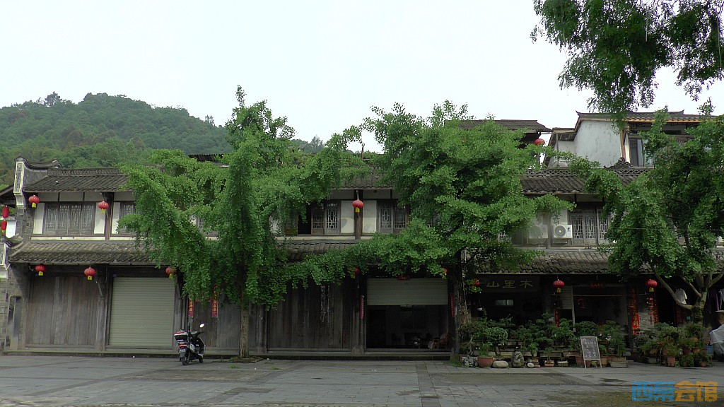 conew_s1610019.jpg