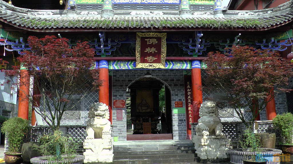conew_s1610031.jpg