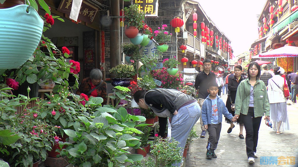 conew_s1610041.jpg