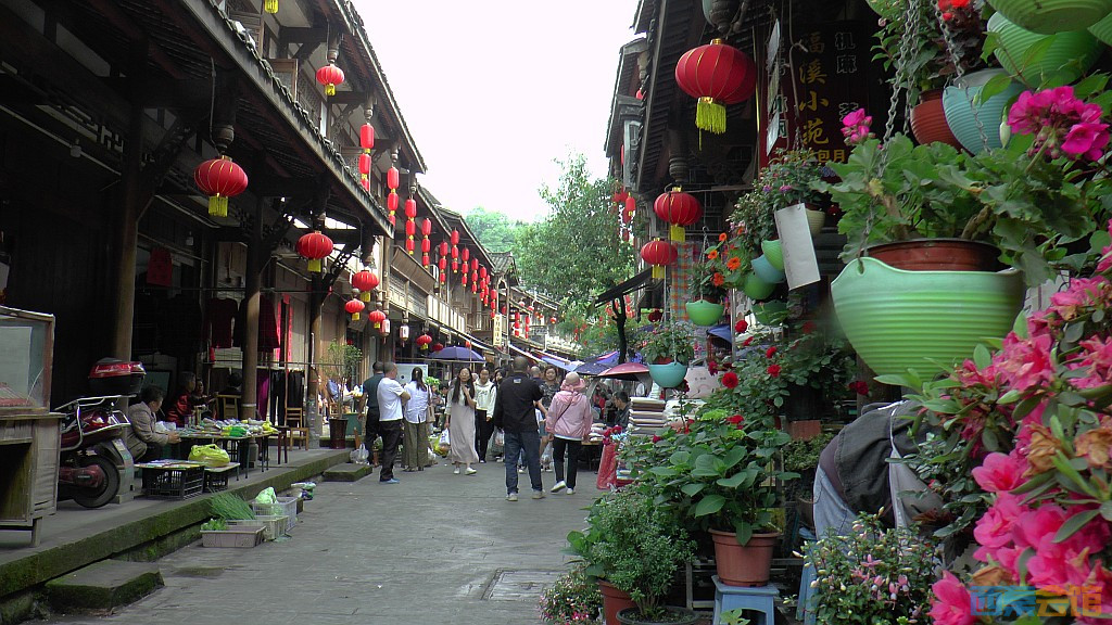 conew_s1610042.jpg