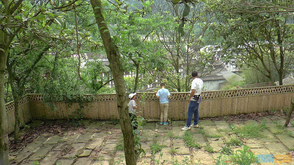 conew_s1610070.jpg