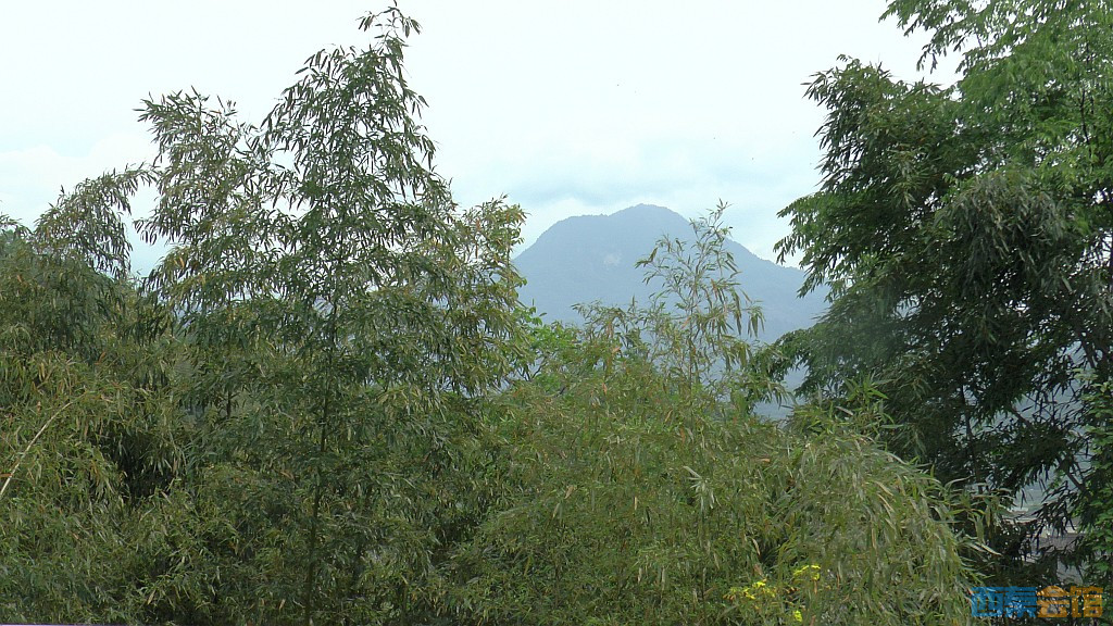 conew_s1610069.jpg