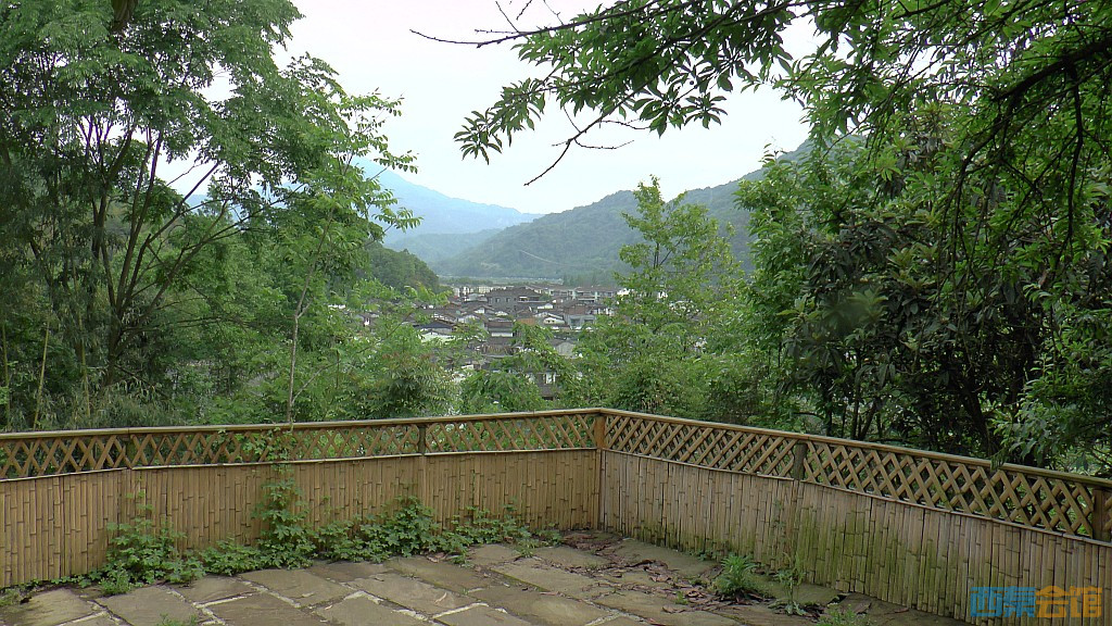 conew_s1610072.jpg