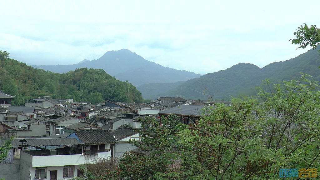 conew_s1610063.jpg