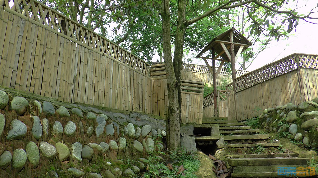 conew_s1610067.jpg