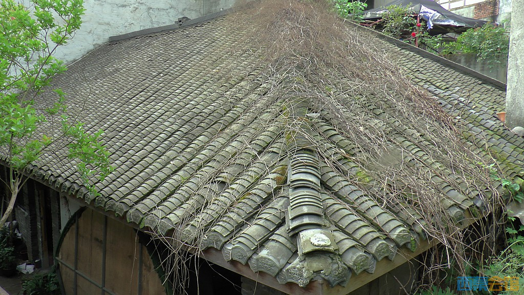 conew_s1610080.jpg